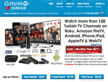 Tablet Screenshot of ginikoturkish.com